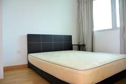 Eight Riversuites (D12), Condominium #150492822